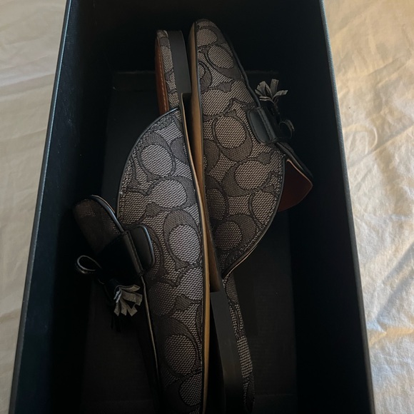 Coach slides - Picture 9 of 10